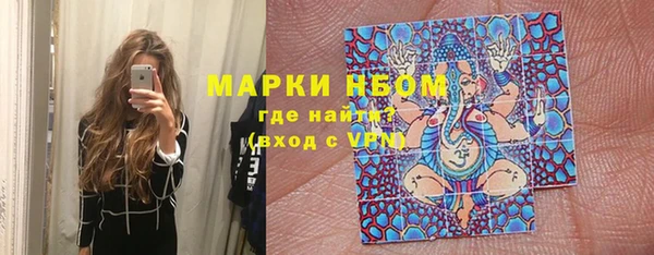 дживик Бронницы